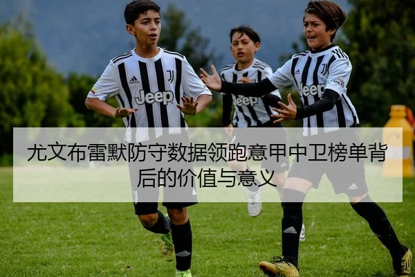 尤文布雷默防守数据领跑意甲中卫榜单背后的价值与意义