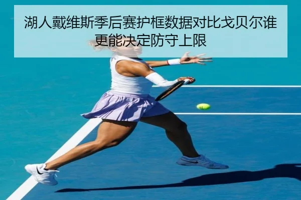 湖人戴维斯季后赛护框数据对比戈贝尔谁更能决定防守上限